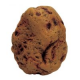 ArtUniq Potato Stone M - Декоративная композиция из пластика "Камень-картошка", 19x13,7x22,5 см