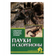 ПАУКИ И СКОРПИОНЫ. Содержание. Разведение в домашних условиях. Чегодаев А.Е.