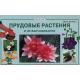 ПРУДОВЫЕ РАСТЕНИЯ И ИХ ВЫРАЩИВАНИЕ. Ламберт Д.