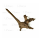 UDeco Oak Root XXL - Натуральная коряга "Дуб дизайнерский" для оформления аквариумов и террариумов, вес от 10 кг, цена за 1 кг