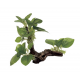ArtUniq Driftwood With Anubias S1 - Декоративная композиция из пластика "Коряга с анубиасом", 19x12x17 см