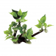 ArtUniq Driftwood With Anubias L2 - Декоративная композиция из пластика "Коряга с анубиасом", 32x14x25 см