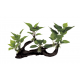 ArtUniq Mangrove Driftwood With Anubias M4 - Декоративная композиция из пластика "Мангровая коряга с анубиасом", 39,5x11x23 см