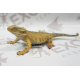 Фигурка "Бородатая агама" Bearded Dragon Lizard