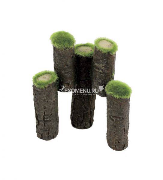 ArtUniq Mossy Logs - Декоративная композиция из пластика 
