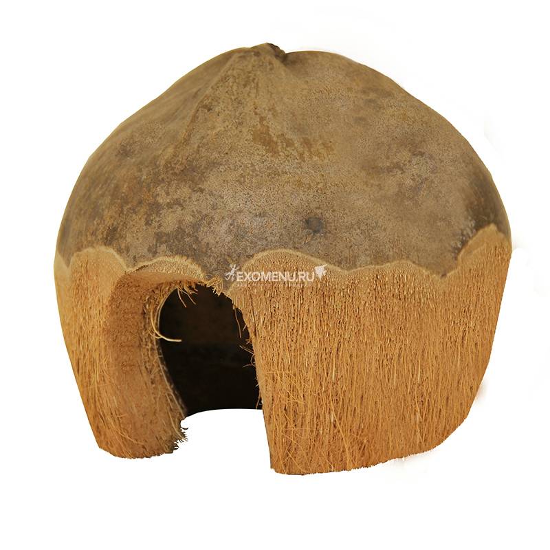 Домик NATURAL для мелких животных из кокоса 