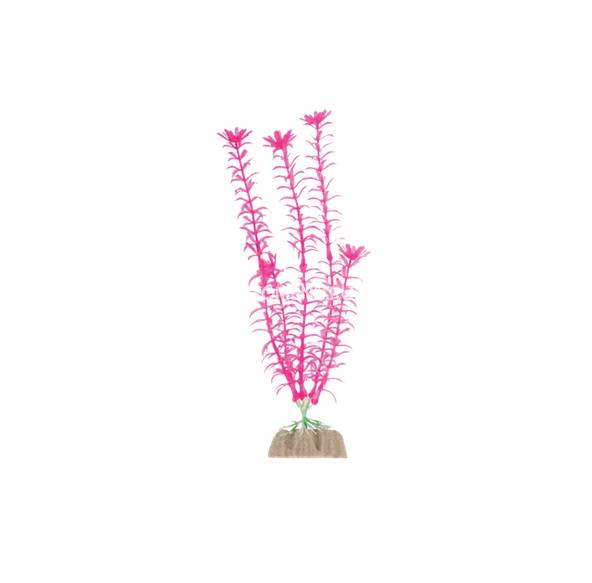 Растение флуоресцирующее GloFish розовое  L 20 см