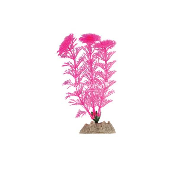 Растение флуоресцирующее GloFish розовое  S 13 см