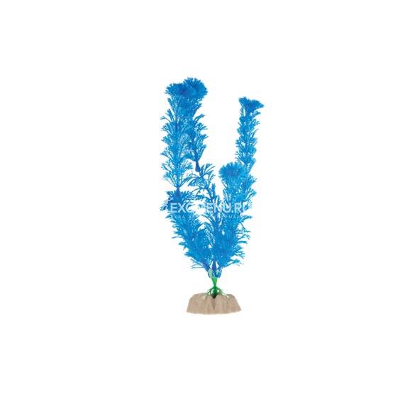 Растение флуоресцирующее  GloFish синее L 20см