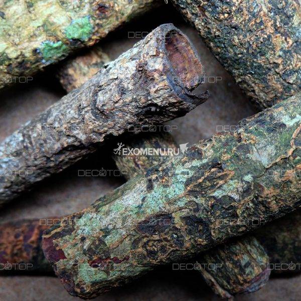 DECOTOP Raja XXS - Трубка из коры индийского миндаля, 15×3 см