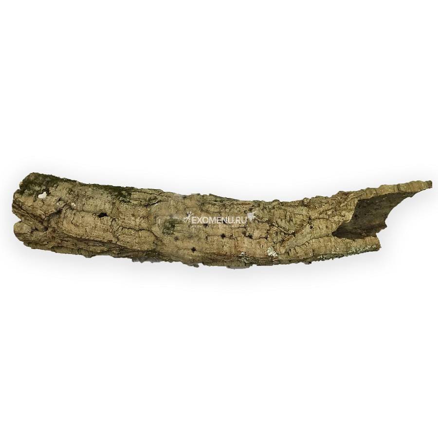 DECOTOP Estela XS - Цилиндр из коры пробкового дуба, длина 30 см, D 6-8 см