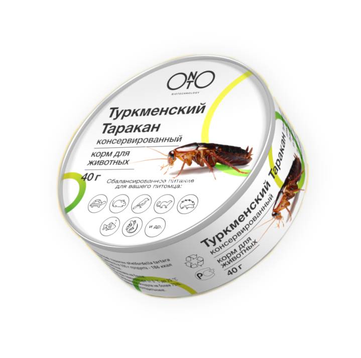 Туркменский таракан консервированный 40гр