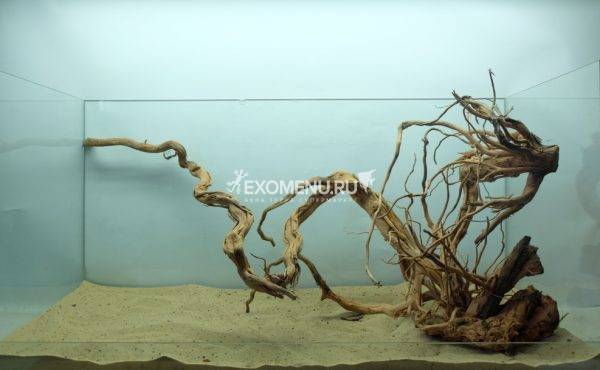 DECOTOP Antigua XXL - Натуральная коряга 19-65 см для аквариумов от 50 л