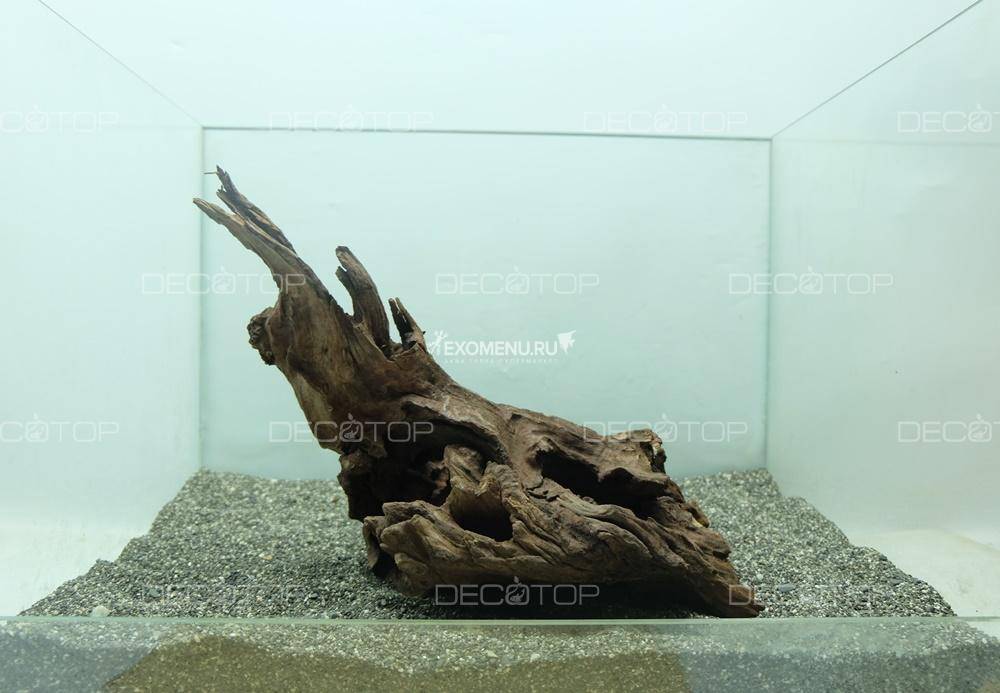 DECO NATURE WOOD DRAGON XXL - Натуральная коряга дракон от 40 до 49 см | «Лавка Аквариумиста»