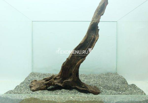 DECOTOP Borneo M - Натуральная коряга 16-50 см для аквариумов от 20 л