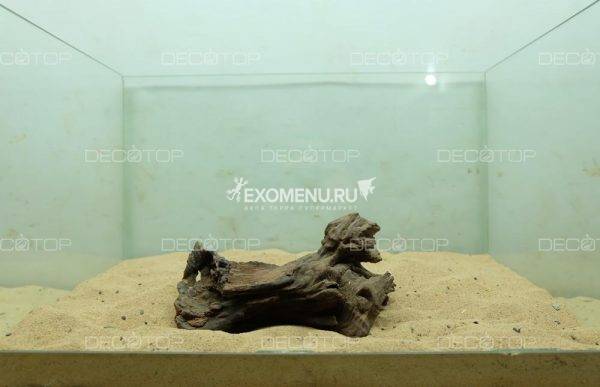 DECOTOP Borneo XXS - Натуральная коряга 14-40 см для аквариумов от 5 л