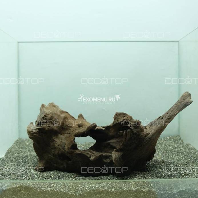 DECOTOP Sumatra XXS - Натуральная коряга 13-35 см для аквариумов от 5 л