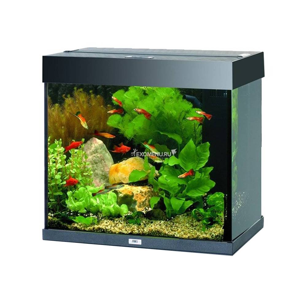 Аквариум Juwel LIDO 120 LED аквариум 120л, черный (Black), 61х41х58см, 2х12W, Фильтр Bioflow M, Нагр100W
