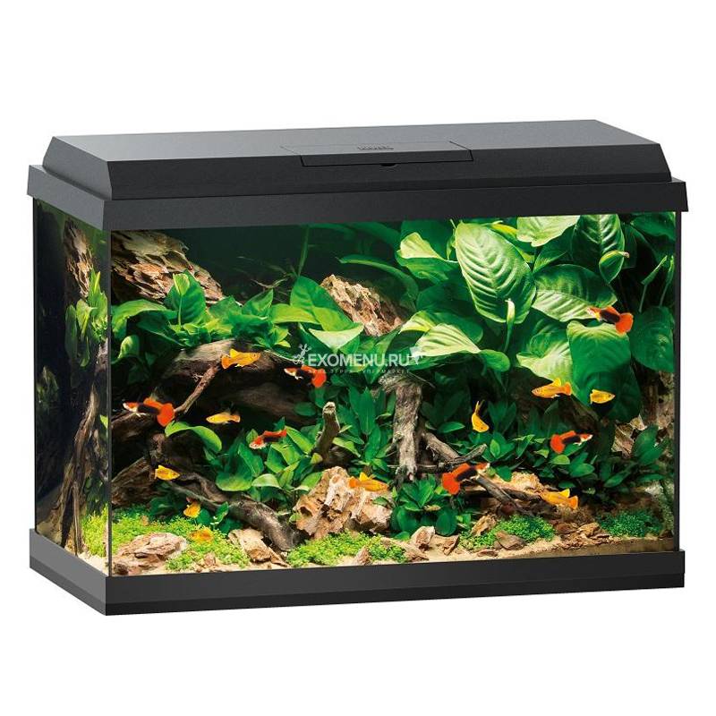 Juwel PRIMO  70 аквариум 70л черный (Black) 61х31х44см LED 8w Фильтр Bioflow One Нагр50W