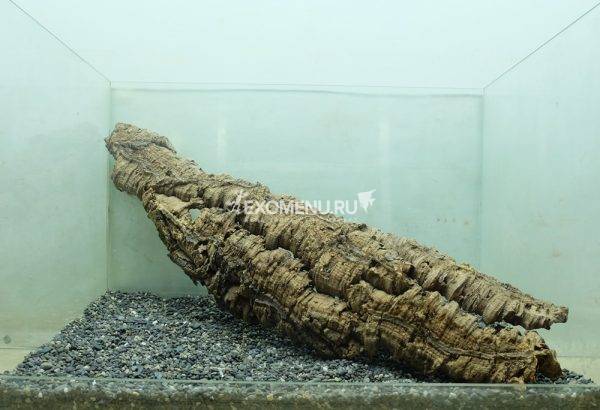 DECOTOP Estela S – Пластина из коры пробкового дуба, 30-45 см