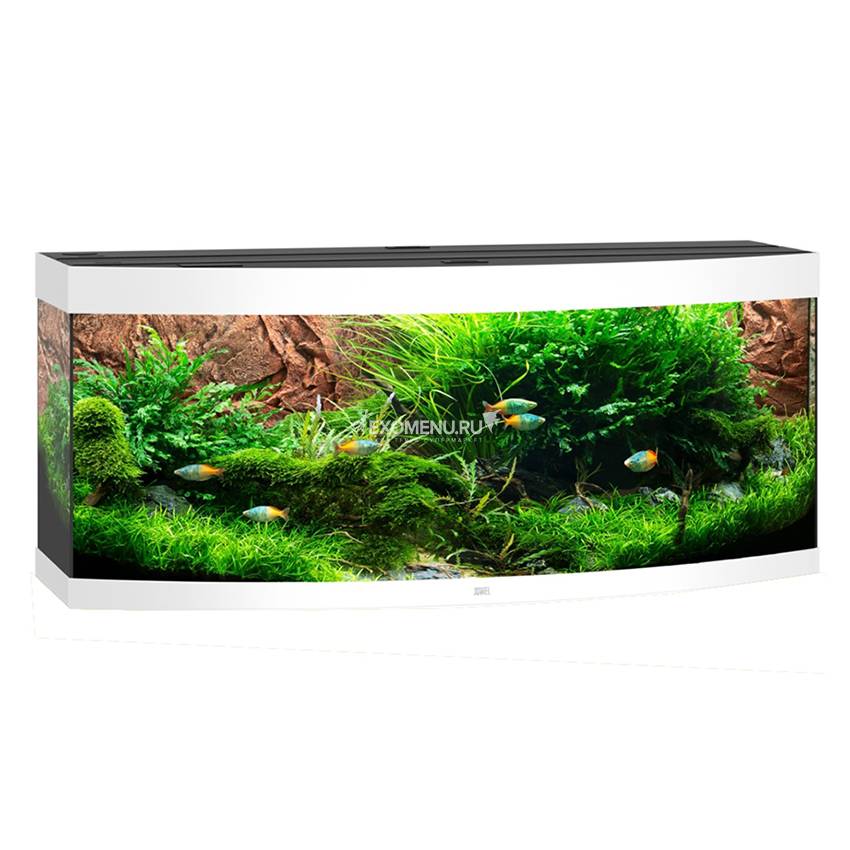 Juwel VISION 450 LED аквариум 450л белый (white) 151х61х64см 4х31W Фильтр Bioflow XL, Нагр300W