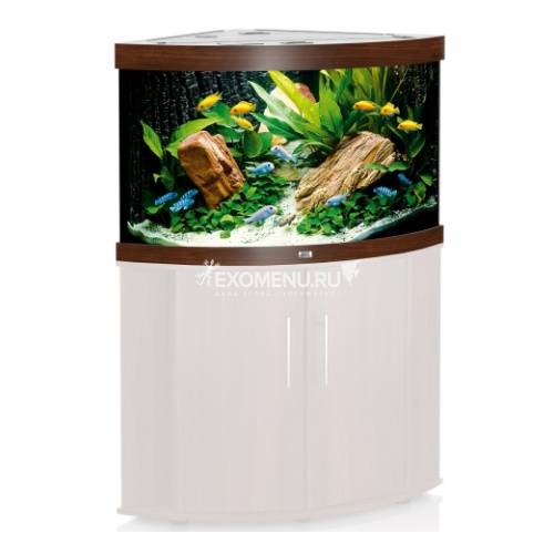 Juwel TRIGON 190 LED аквариум 190л темное дерево (dark wood) 98,5х70х60см 2х14W Фильтр Bioflow M, Нагр20