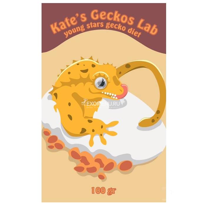 Kate geckos. Баночки Kate Geckos Lab смесь для насекомоядных рептилий. Original Gecko Diet Kates Geckos Lab.