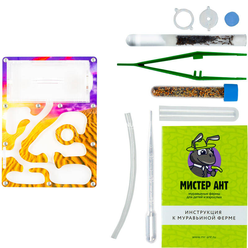 Mr ant. инструкция мистер ант. Mr ant. Mr ant. мистер ант муравьиные фермы.
