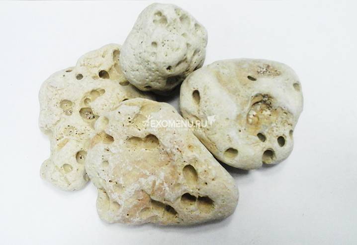 Камень морской (5-15 см), 1 кг