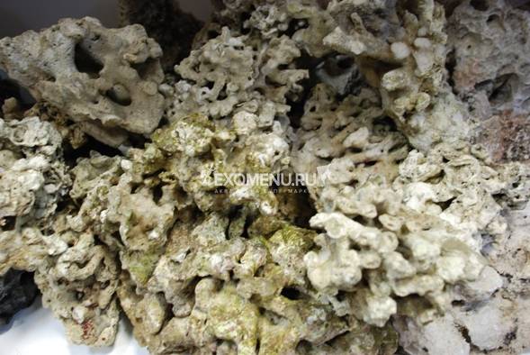 Сухой рифовый камень Индонезия, 1 кг.
