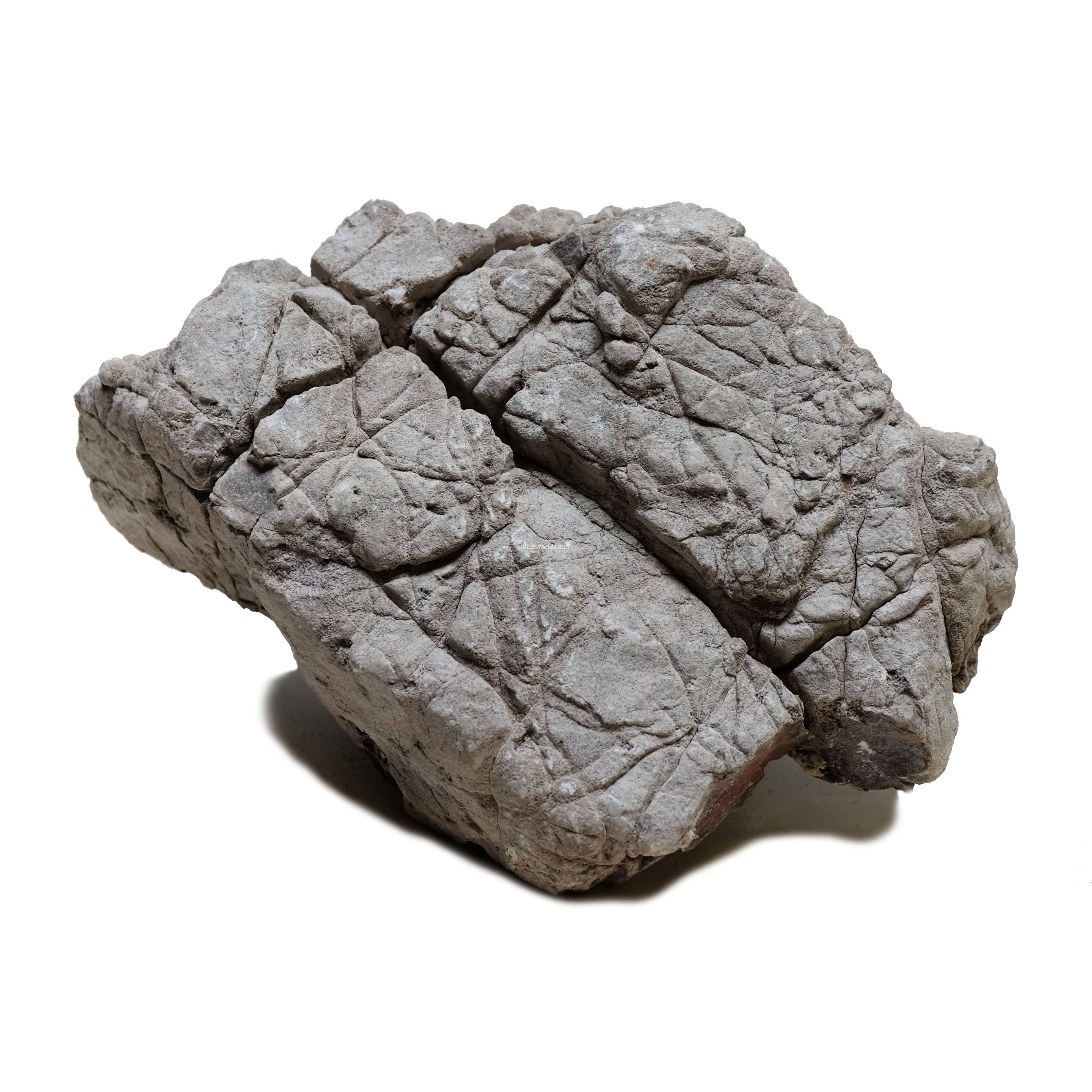 UDeco Elephant Stone M - Натуральный камень 