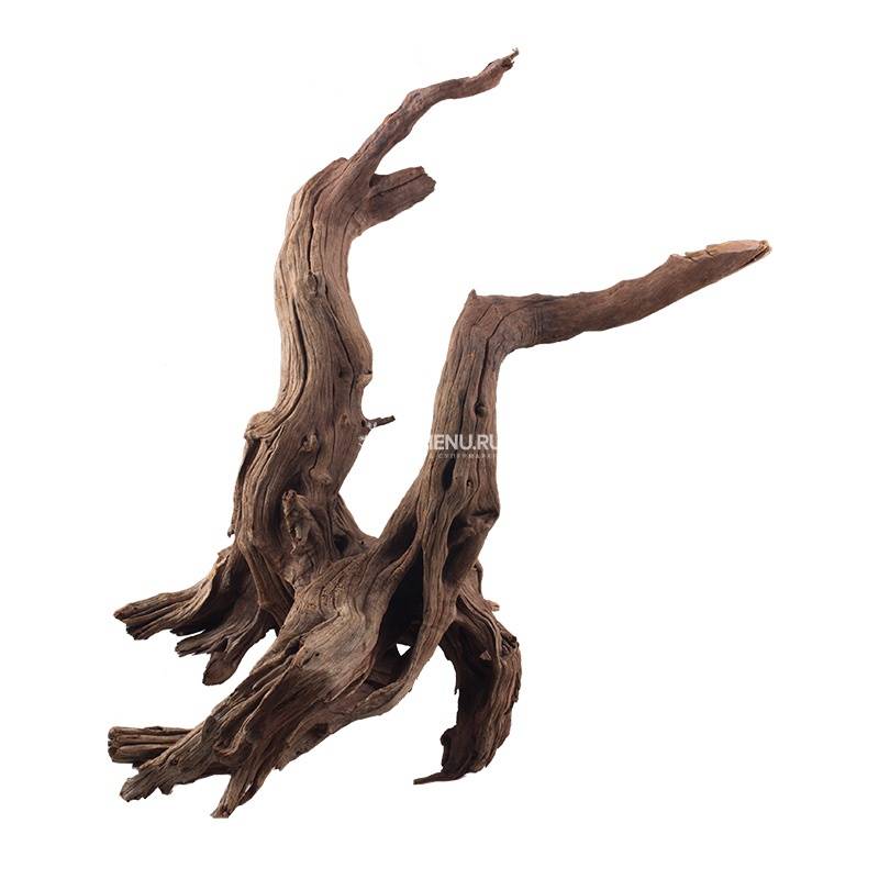 UDeco Oak Root S - Натуральная коряга 