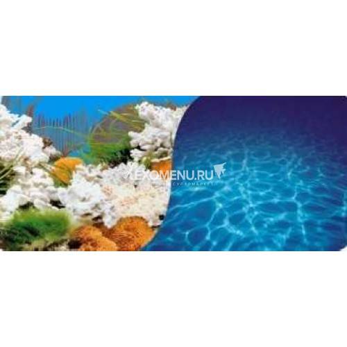Фон двухсторонний. Кораллы голубой - Солнечные блики синий (40)