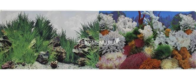 Фон для аквариума двухсторонний Морской пейзаж/Подводный рельеф 50х100см (9029/9030)