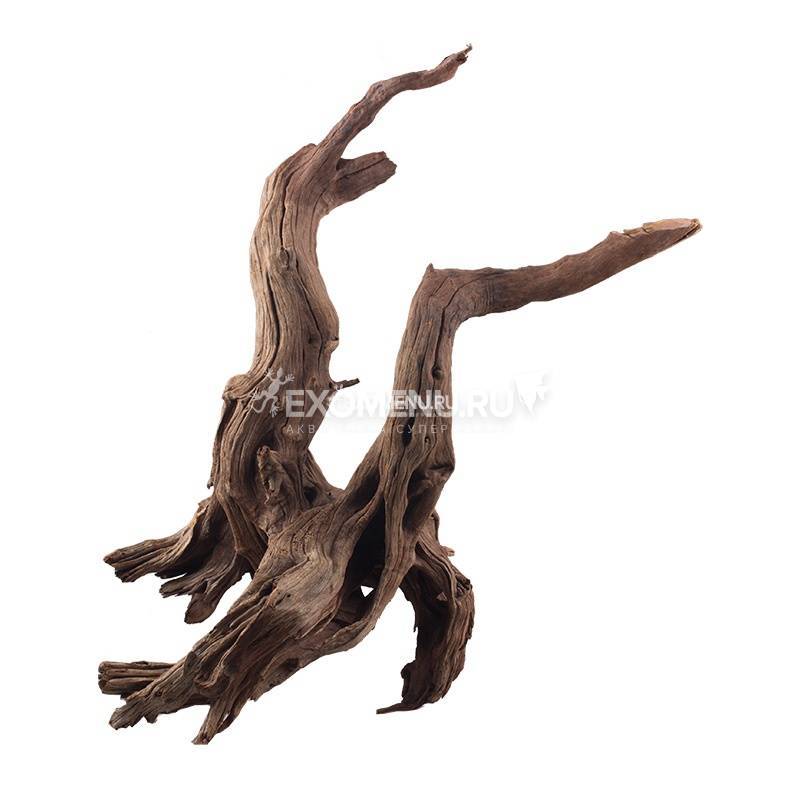 UDeco Oak Root Select S - Натуральная коряга 