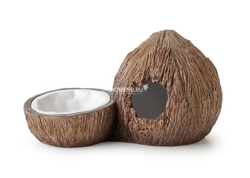 Поилка и укрытие в виде кокосов