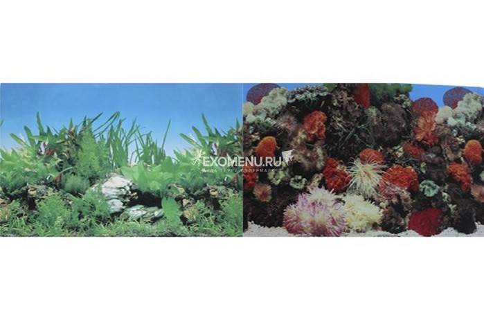 Фон для аквариума двухсторонний Кораллы/Растительный 50х100см (9001/9003)