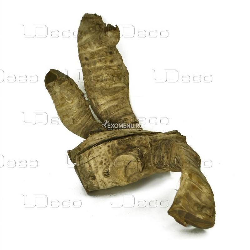 UDeco Bamboo root S - Натуральная коряга 